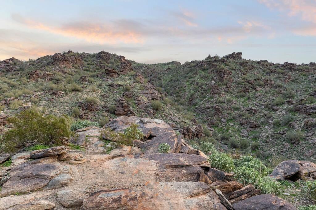 The Hummingbird House, Sauna & Mountain Views! Phoenix Exterior foto