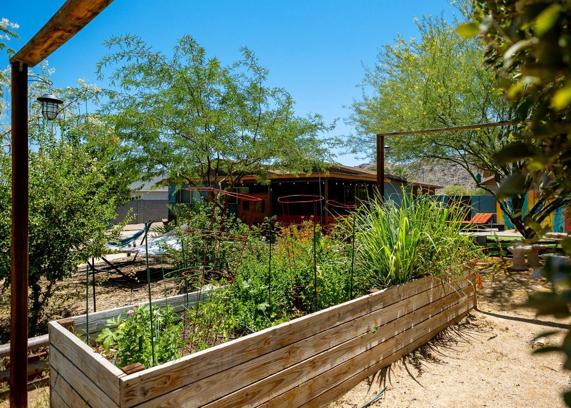The Hummingbird House, Sauna & Mountain Views! Phoenix Exterior foto